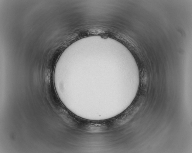 X0000112910315200909211037