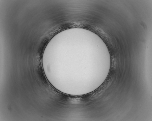 X0000112910318200909211037