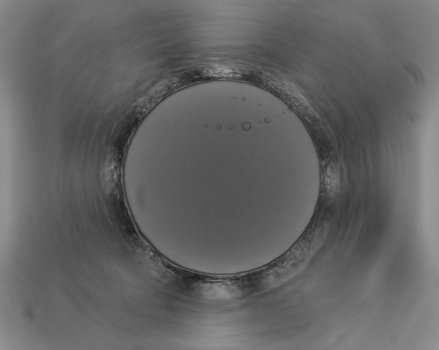 X0000112910322200909211037