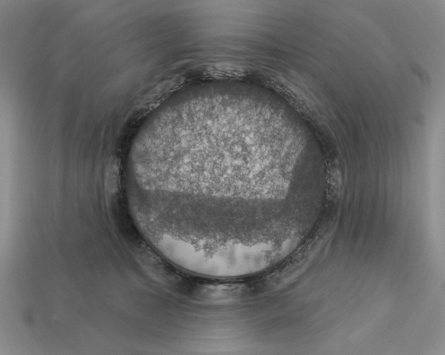 X0000112910323200909211037