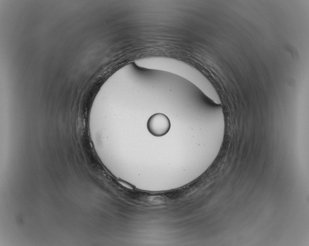 X0000112910324200909211037