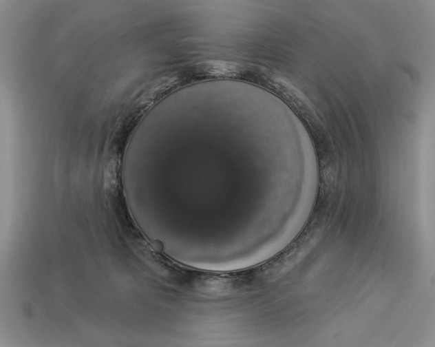 X0000112910325200909211037