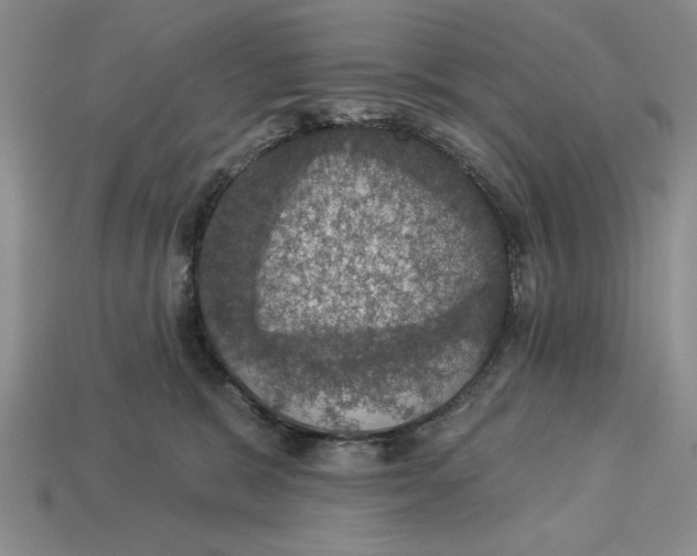 X0000112910327200909211036