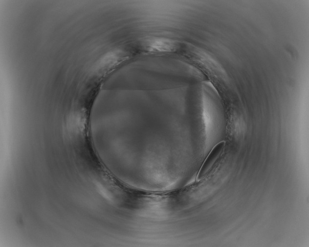 X0000112910328200909211036