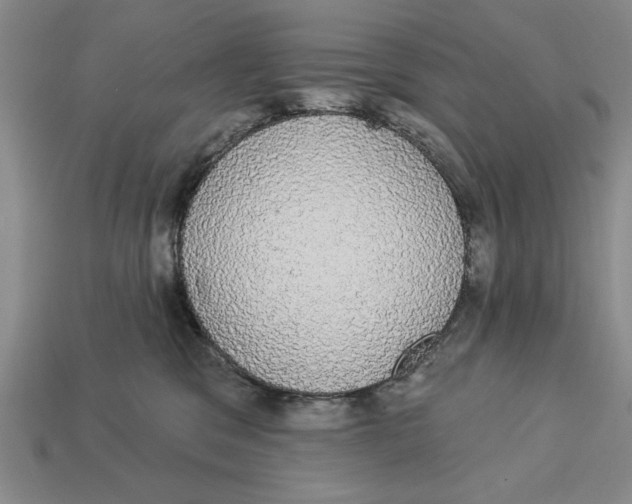 X0000112910329200909211036