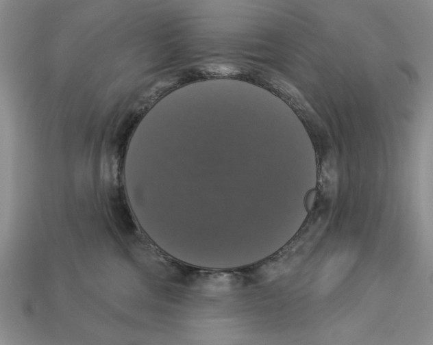 X0000112910330200909211036