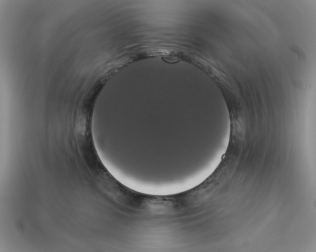 X0000112910331200909211036
