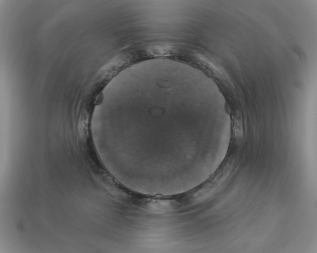 X0000112910332200909211036