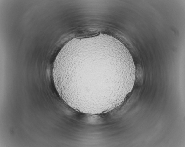 X0000112910333200909211036