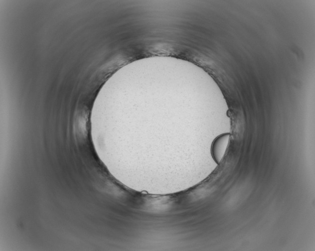 X0000112910334200909211036