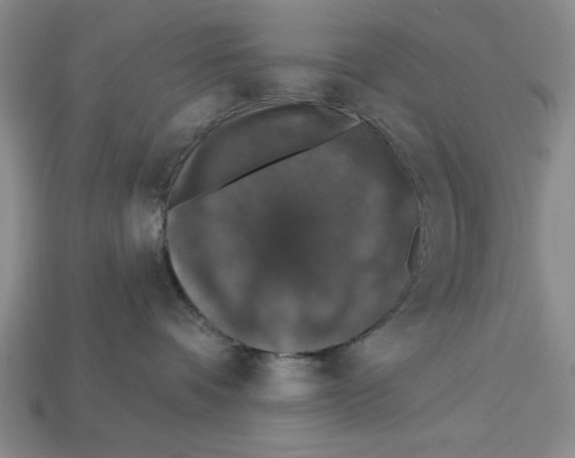 X0000112910336200909211036