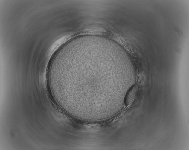 X0000112910340200909211036