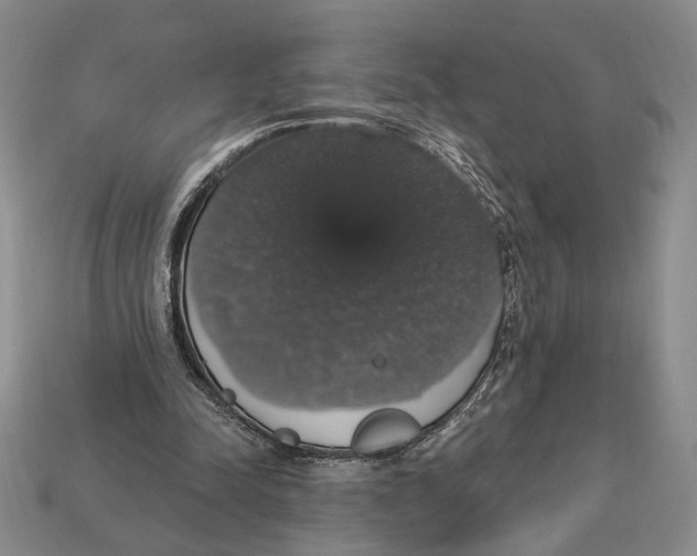 X0000112910342200909211036