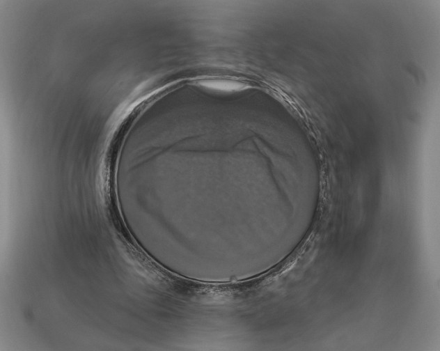 X0000112910343200909211036