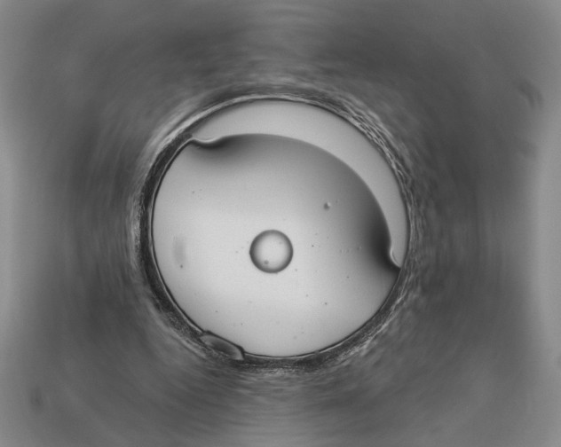 X0000112910344200909211036