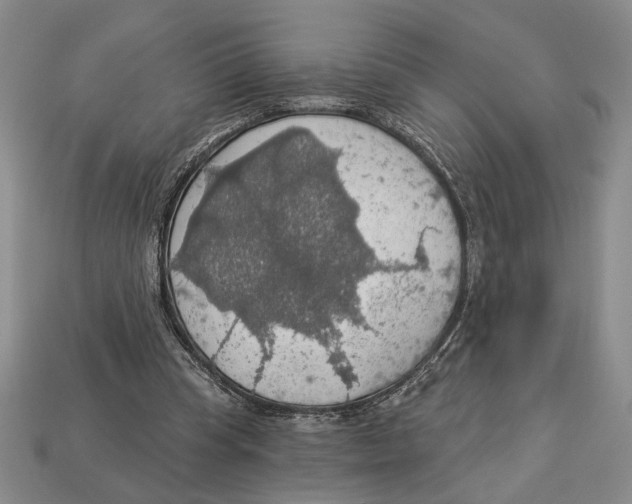 X0000112910345200909211036