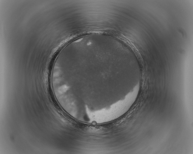 X0000112910346200909211036