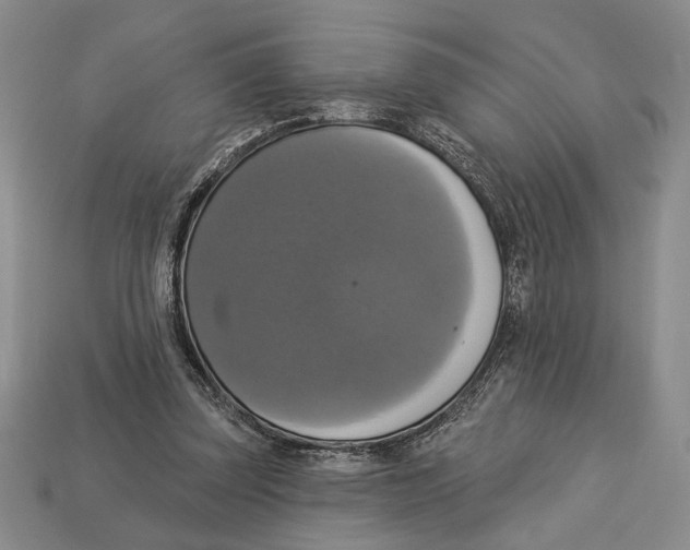 X0000112910347200909211036