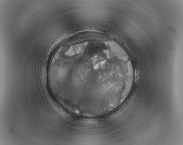 X0000112910349200909211036