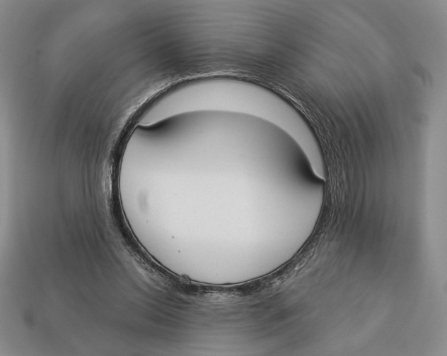 X0000112910350200909211036