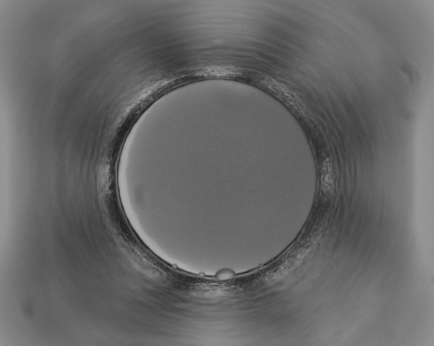 X0000112910351200909211036