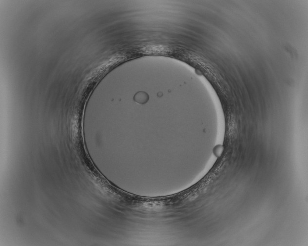 X0000112910353200909211036