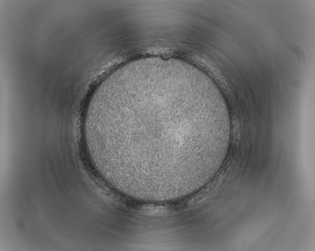 X0000112910354200909211036