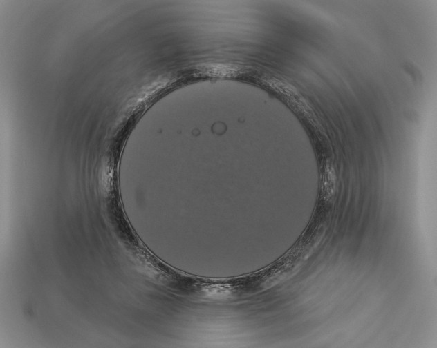 X0000112910355200909211036