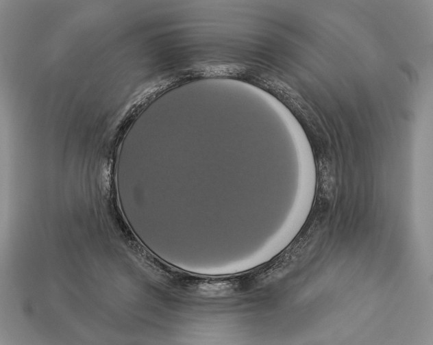 X0000112910357200909211036