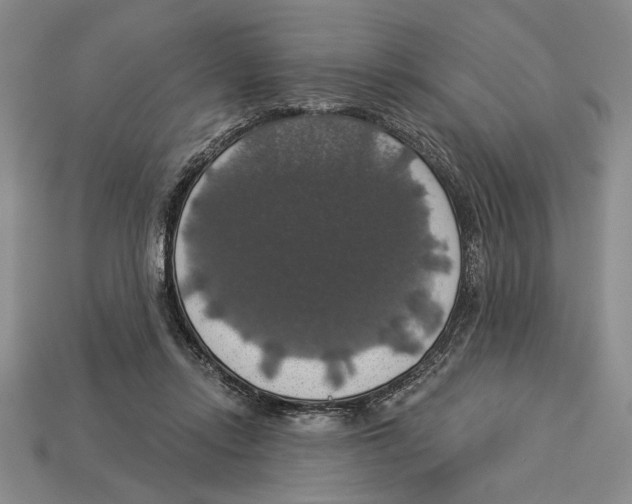 X0000112910358200909211036