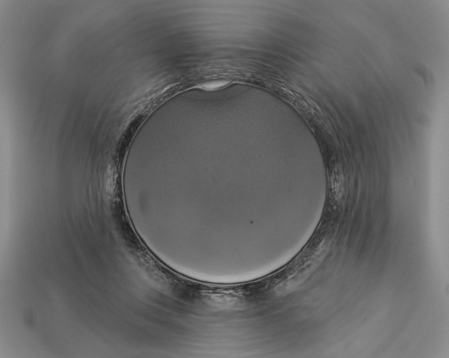 X0000112910359200909211036