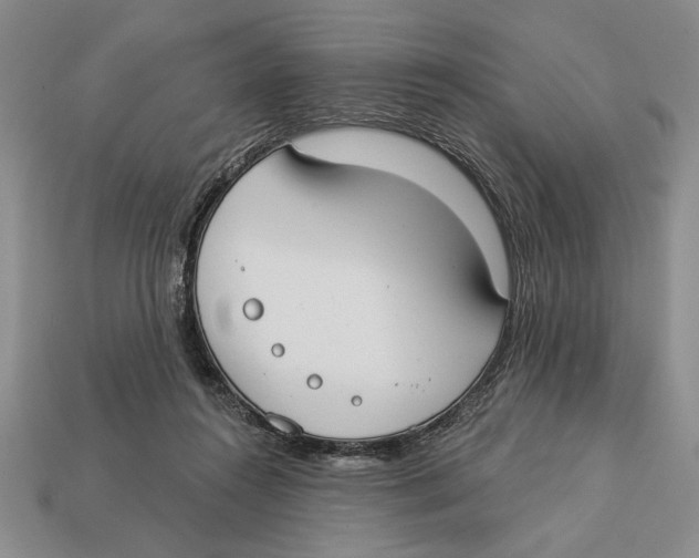 X0000112910360200909211036