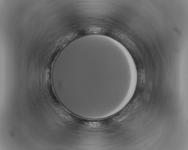 X0000112910361200909211036