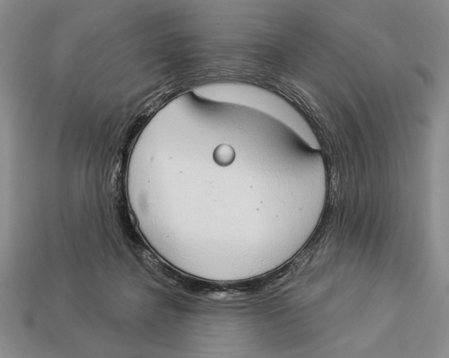 X0000112910364200909211036