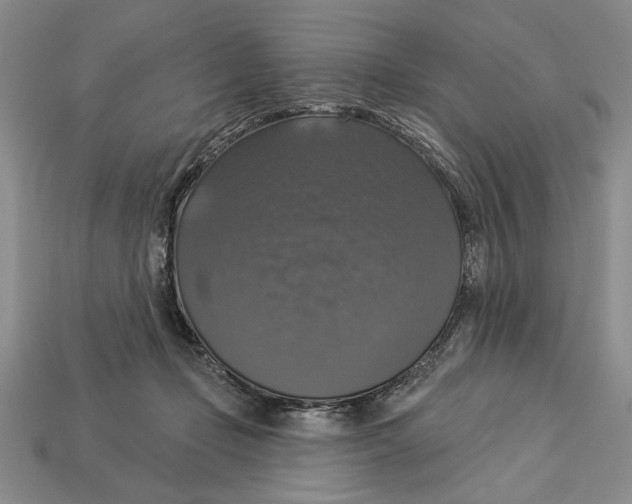 X0000112910365200909211036