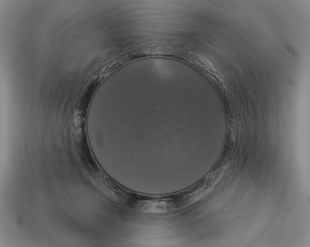 X0000112910366200909211036