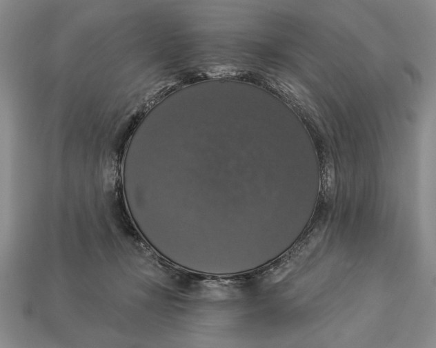 X0000112910367200909211036