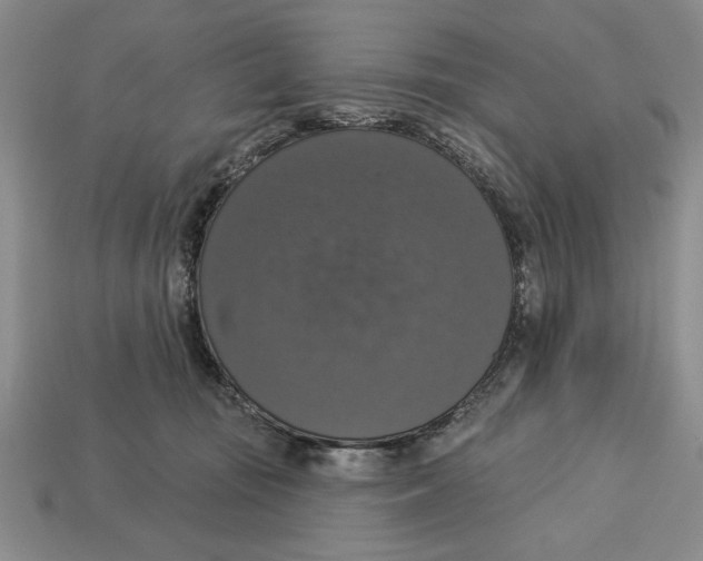 X0000112910371200909211036