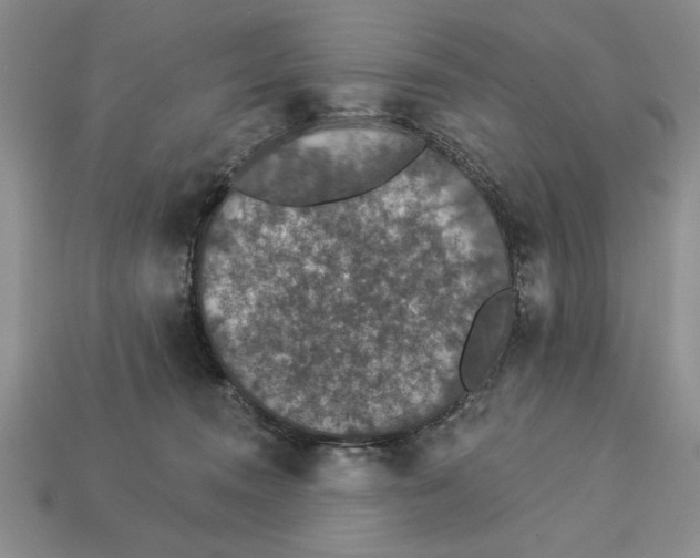 X0000112910372200909211036