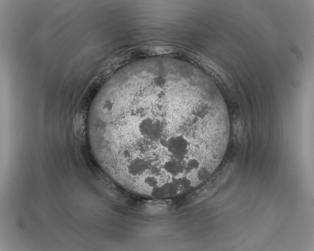 X0000112910373200909211036