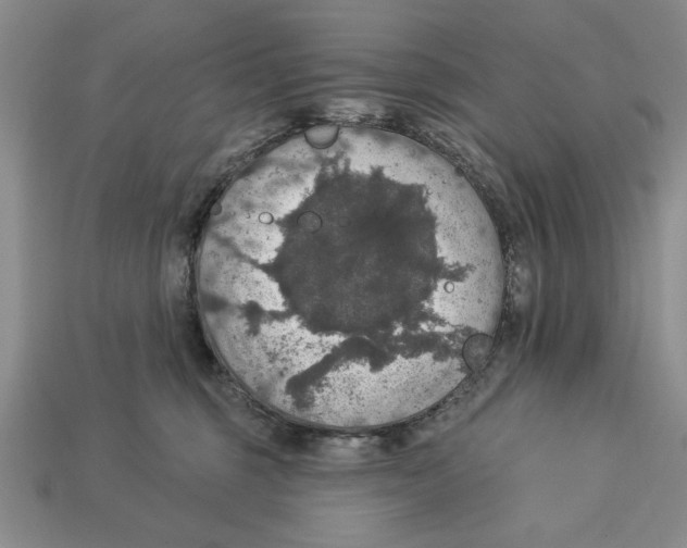 X0000112910375200909211036