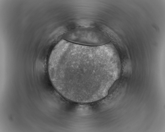 X0000112910376200909211036