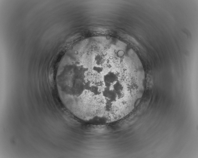 X0000112910377200909211036