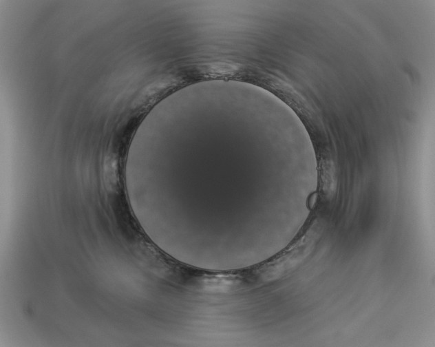 X0000112910378200909211036