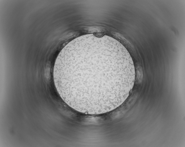 X0000112910379200909211036