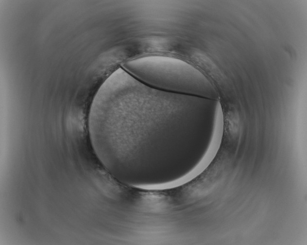 X0000112910380200909211036