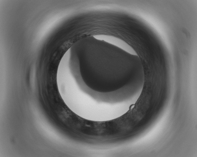 X0000112910382200909211036