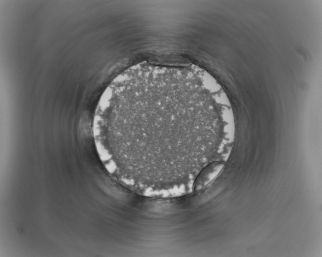 X0000112910384200909211036