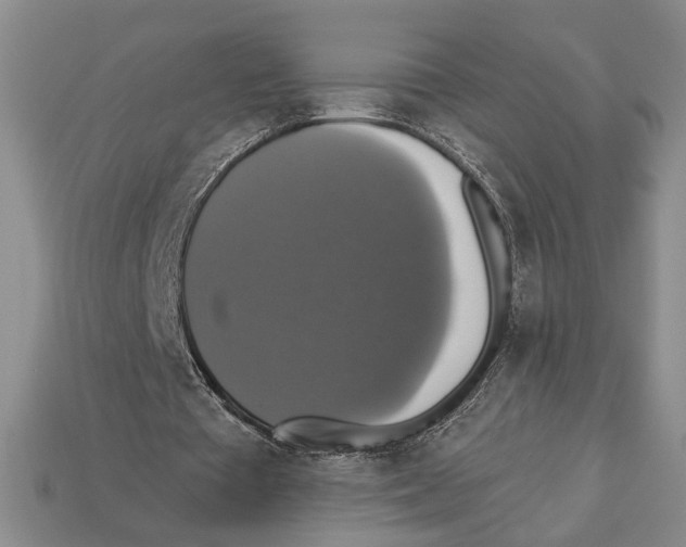 X0000112910385200909211036