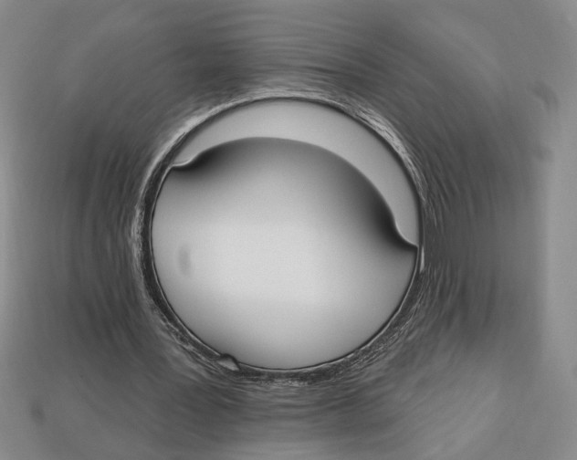 X0000112910387200909211036